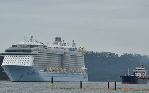 Singapore tìm kiếm hành khách mất tích sau khi rơi khỏi du thuyền Spectrum of the Seas