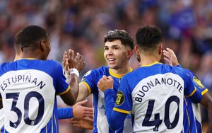 Soi kèo Brighton vs Luton Town, nhận định bóng đá Ngoại hạng Anh vòng 1