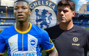 Caicedo 'quay xe' với Liverpool, chọn Chelsea làm bến đỗ mới khiến tất cả choáng váng