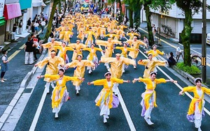 Đội núi trúc Sakura Yosakoi tham gia lễ hội tại Kochi, Nhật Bản 