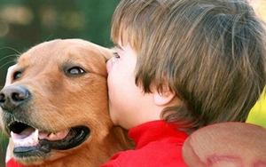 Cảnh báo nguy cơ trẻ em có thể nhiễm ấu trùng giun đũa từ chó, mèo 