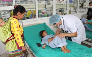 Vụ ngộ độc quả hồng châu: Một trẻ tử vong, chuyển 3 trẻ về Bệnh viện Nhi Trung ương