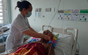 Ăn cá nóc, một người tử vong, hai người nhập viện cấp cứu