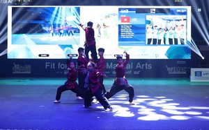 Việt Nam đoạt 2 huy chương cuộc thi Võ thuật quốc tế tại Hàn Quốc