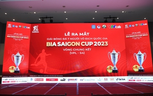 8 đội bóng tranh chức vô địch VPL-S4