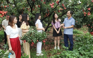 Bắc Giang: Phát triển các sản phẩm du lịch nông thôn