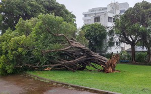 Nhật Bản, Hàn Quốc, Triều Tiên tăng cường ứng phó với bão Khanun