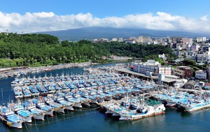 Hàn Quốc ban bố tình trạng khẩn cấp trong 24 giờ nhằm ứng phó với bão Khanun