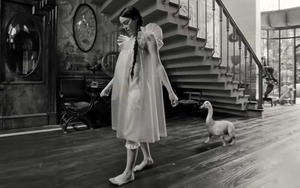 Giải Sư tử vàng 2023: 'Poor Things' - một sáng tạo… điên rồ