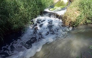 Xả thải gây ô nhiễm môi trường, hai cá nhân bị xử phạt gần 300 triệu đồng