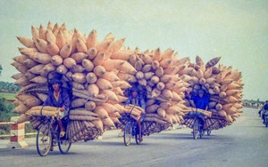 Cuộc đời sau ống kính: Làm diễn viên không khó!