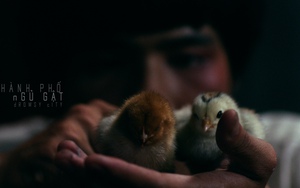 Phim Việt 18+ 'Thành phố ngủ gật' công bố lịch chiếu vào tháng 10 tới