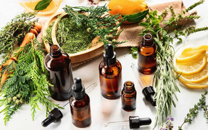 Mỹ phẩm thuần chay và xu hướng làm đẹp bền vững