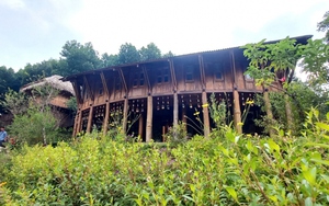 Quảng Ninh đẩy mạnh du lịch xanh hướng phát triển bền vững