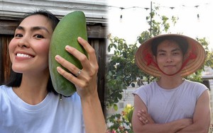 Hà Tăng, Phan Hiển và loạt sao Việt mát tay khi trổ tài làm nông