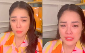 Sau lùm xùm bị chủ nợ đòi tiền, Dương Cẩm Lynh tích cực livestream bán hàng kiếm sống