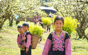 Vẻ đẹp bình yên và thơ mộng của cao nguyên Mộc Châu