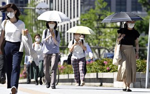 Khí hậu năm 2024 dự kiến sẽ tồi tệ hơn năm 2023