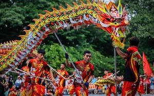 Triển lãm về hình ảnh rồng chào xuân Giáp Thìn 2024