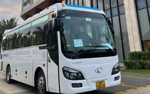 Thuê xe 29 chỗ Đà Lạt: Vì sao Tâm Anh Travel luôn đứng top dẫn đầu? 