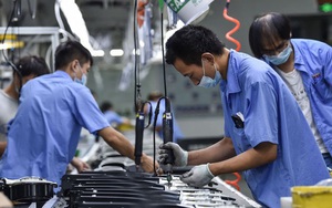 'Thời hoàng kim' của người lao động tại các nước giàu