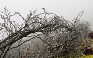 Băng giá xuất hiện trên đỉnh Ô Quý Hồ