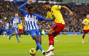 Nhận định bóng đá Sheffield vs Brighton, vòng 4 FA Cup (22h00 hôm nay 27/1)