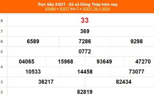 XSDT 29/1, kết quả xổ số Đồng Tháp hôm nay 29/1/2024, KQXSDT ngày 29 tháng 1