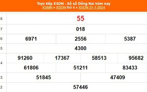 XSDN 31/1, kết quả xổ số Đồng Nai hôm nay 31/1/2024, KQXSDN ngày 31 tháng 1
