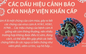 Cúm A: Các dấu hiệu cảnh báo cần nhập viện khẩn cấp