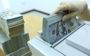 WHO nhận gần 1 tỷ USD tài trợ mới