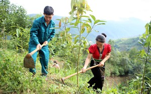 Kinh tế thích ứng với biến đổi khí hậu - Bài 2: Lá chắn bảo vệ trước thiên tai