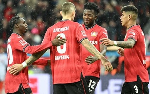 Nhận định, soi tỷ lệ Brest vs Leverkusen, 23h45 ngày 23/10, cúp C1 Châu Âu