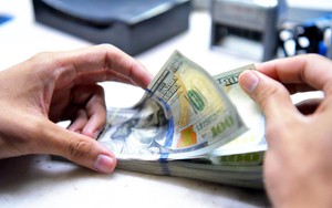 Tỷ giá hôm nay 22/10: Giá USD tăng mạnh trở lại
