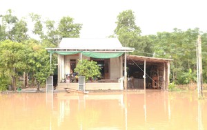 Quảng Trị: Sơ tán 937 hộ dân tránh lũ, nhiều nơi bị ngập lụt gây chia cắt