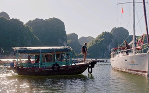 LHP Đức tại Việt Nam: Trình chiếu bộ phim quay ở hang Sơn Đoòng, vịnh Lan Hạ 