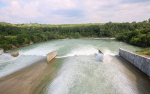 Lập hồ sơ phương án ứng phó tình huống khẩn cấp hồ Dầu Tiếng