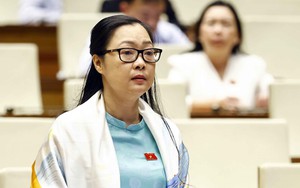 Kỳ họp thứ 8, Quốc hội khoá XV: Tránh việc tu bổ trở thành “làm mới” di tích