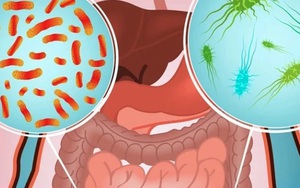 Số ca nhiễm trùng đường tiêu hóa ở Australia ở mức cao nhất trong 20 năm