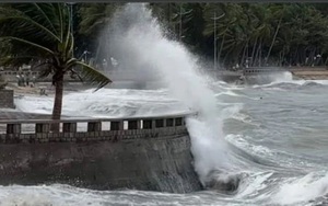 Từ Quảng Ninh đến Bình Định chủ động ứng phó bão số 8