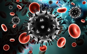 Các ca nhiễm HIV mới chủ yếu ở khu vực phía Nam và các thành phố lớn