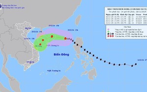 Ứng phó bão số 9: Quảng Ninh đến Bình Thuận theo dõi chặt chẽ diễn biến bão