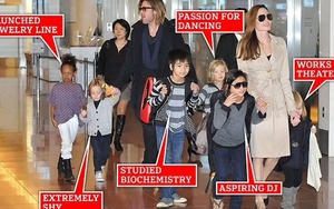 Sau khi Angelina Jolie và Brad Pitt chia tay, cuộc sống riêng của 6 người con giờ ra sao?