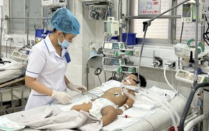 Thành phố Hồ Chí Minh: Số lượng ca mắc sốt xuất huyết cao nhất khu vực phía Nam