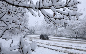 Tuyết đầu mùa đến muộn nhưng rơi dày bất thường ở Hàn Quốc