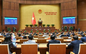 Thông qua Nghị quyết phê duyệt chủ trương đầu tư Chương trình mục tiêu quốc gia về phát triển văn hóa