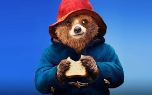Gấu Paddington - Từ biểu tượng của nước Anh đến ngôi sao toàn cầu