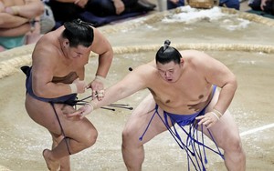 Sự hồi sinh mạnh mẽ của Sumo tại Nhật Bản
