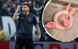 Kinh hoàng đầu lợn bị ném xuống sân bóng