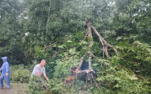 Philippines khắc phục hậu quả của bão Yinxing